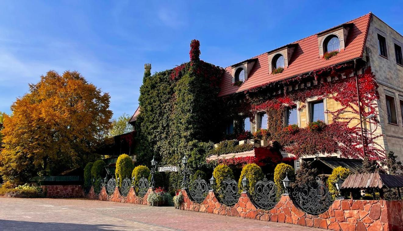 Hotel Zameczek Ksiaz Wielki Exterior foto